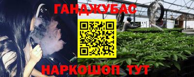 гашик Краснознаменск