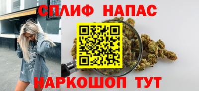 стаф Краснодар