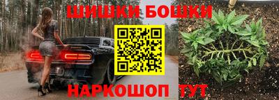 стаф Краснодар