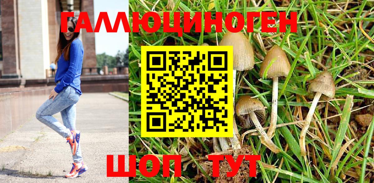 НБОМе Муравленко