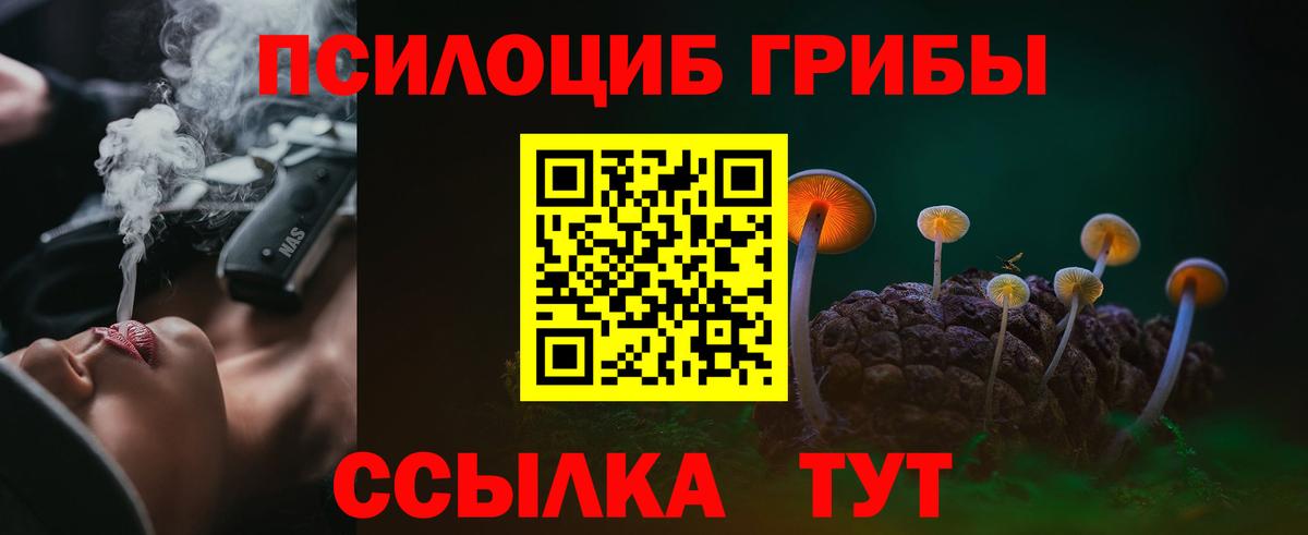Псилоцибиновые грибы GOLDEN TEACHER  купить наркотики сайты  Муравленко  Вход с VPN 